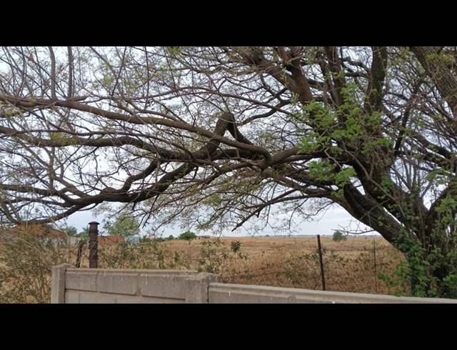 LAND FOR SALE IN SUNDRA AH